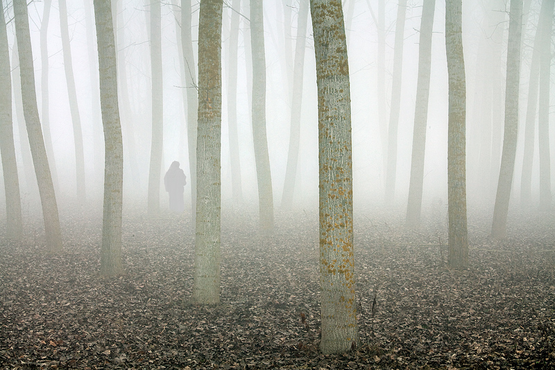 ...ch� la diritta via era smarrita.