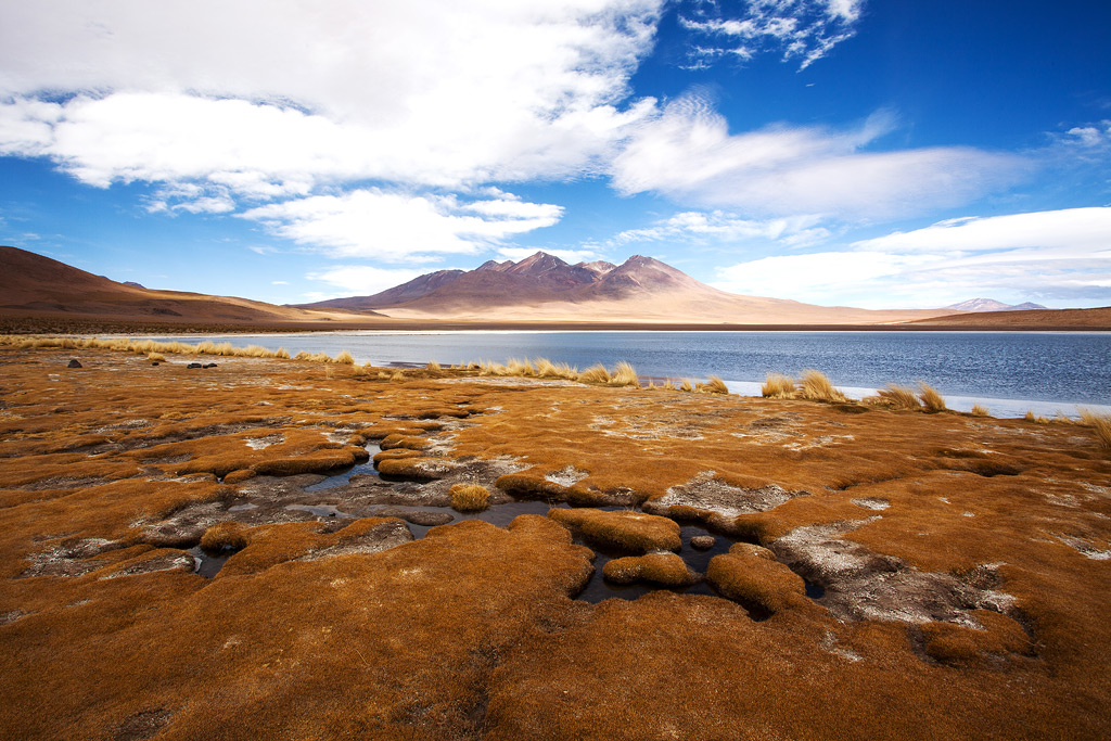 Uyuni #8