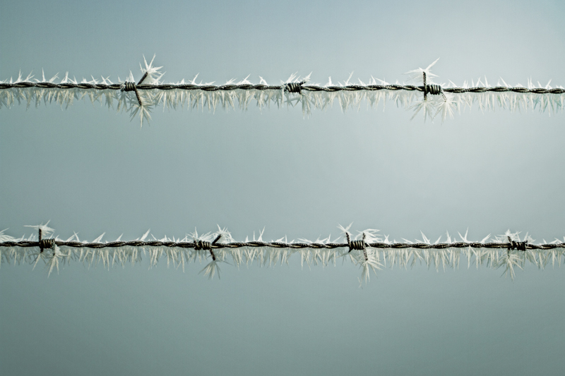 Chi di spina ferisce ...