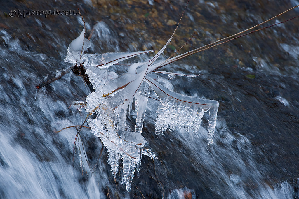 brbrbrbr...!!che freddo..!!