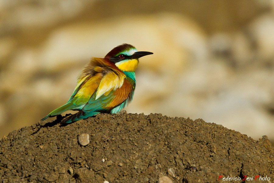 Appoggiato sul terrapieno...