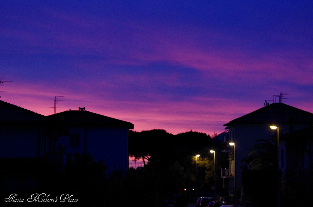 Splende sempre il sole. 13