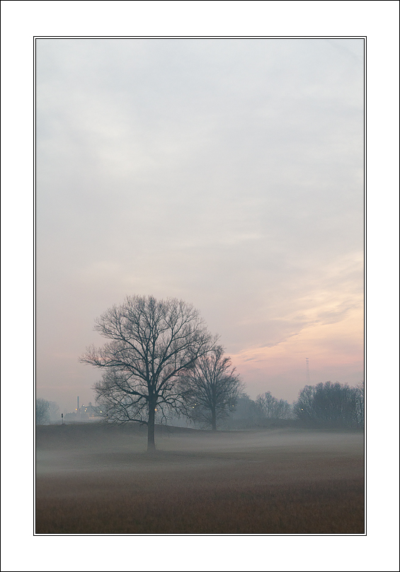 Al salir Della Nebbia...