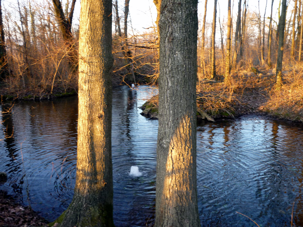 102 Tramonto alla sorgente