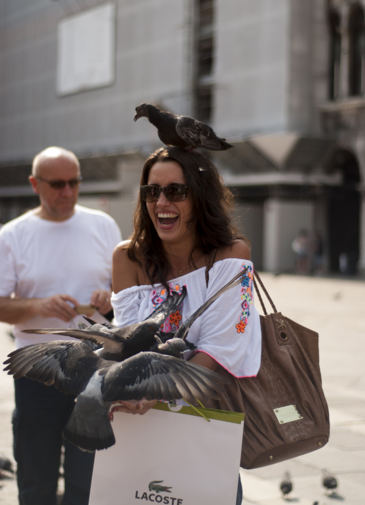 piccioni all'attacco