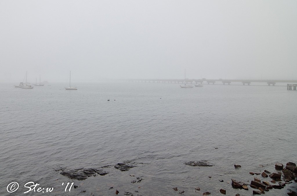 Il ponte e le barche
