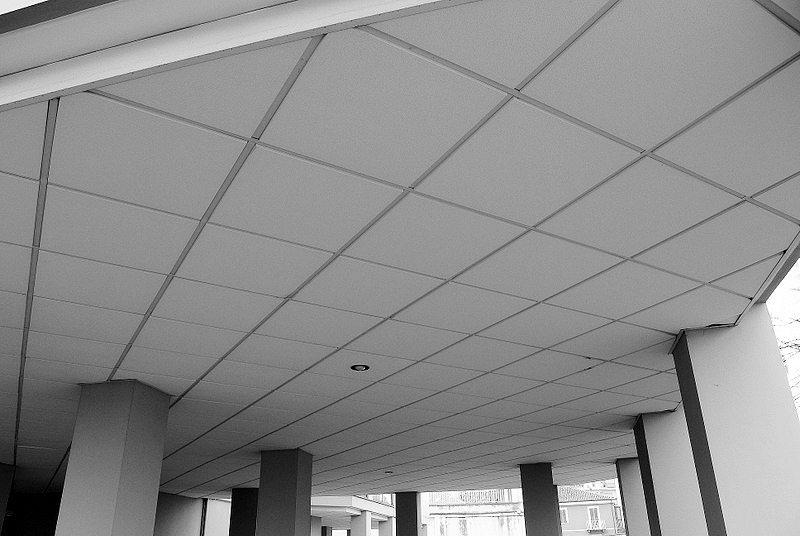 Lines