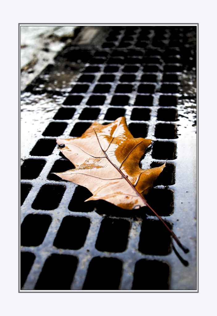 Riflessi di una pioggia