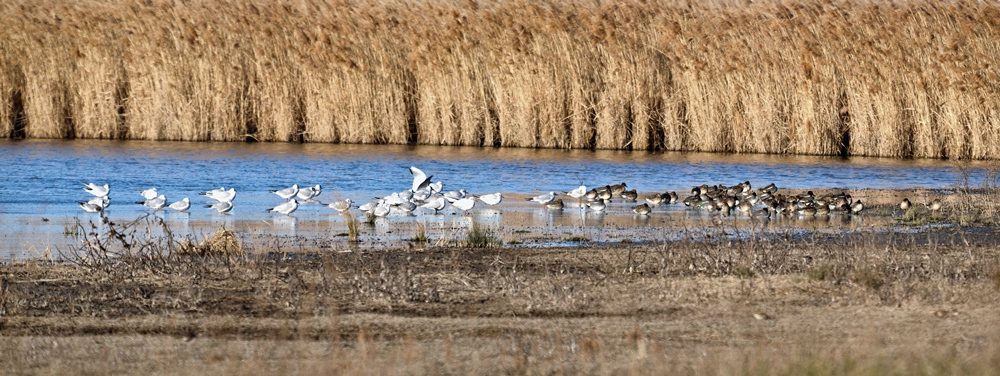al riparo dalla tramontana