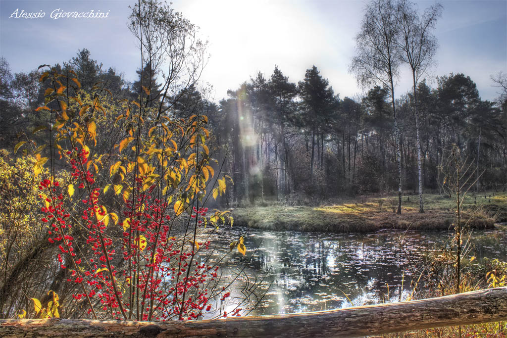 La per i boschi di Oltrona