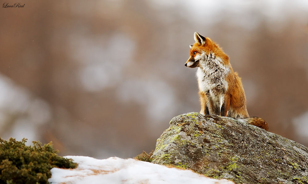 Malinconia per un estate ormai passata!!!