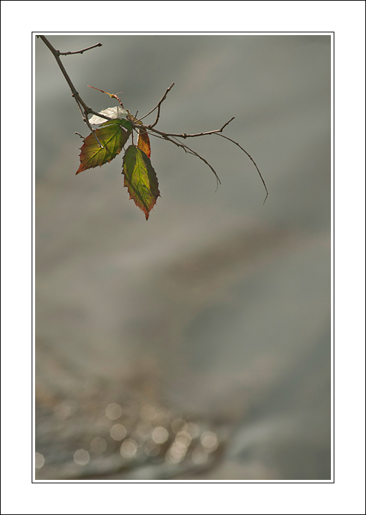 Trattenendo ancora quei colori..