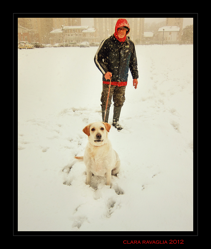 Oggi Shiba... � felice