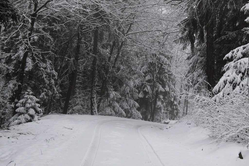 ATTENZIONE!!! Curva pericolosa...
