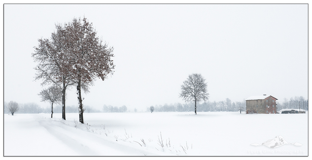 Winter on the plains