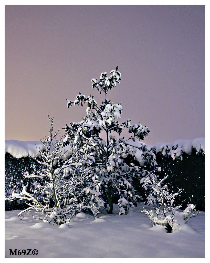 ... forse � meglio con un filtro violetto?