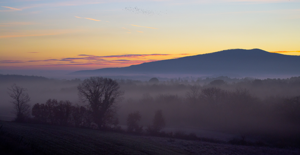 Val d'Elsa all'alba