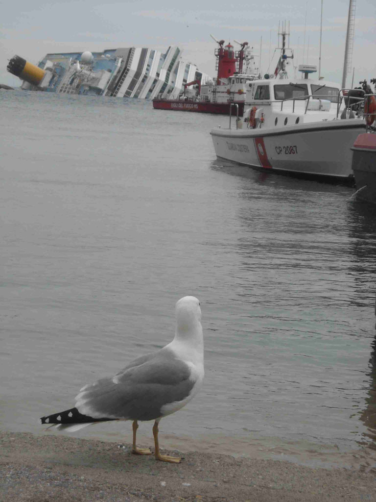 MONUMENTO ALLA STUPIDIT� UMANA.....