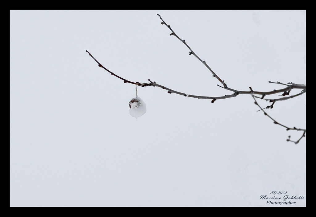 Abbandonato a se stesso