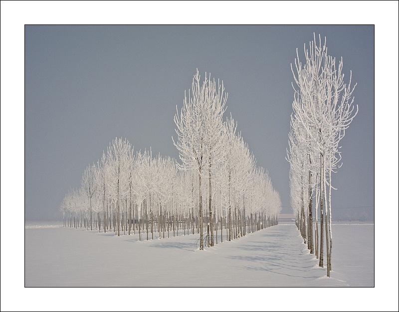 Prospettive invernali