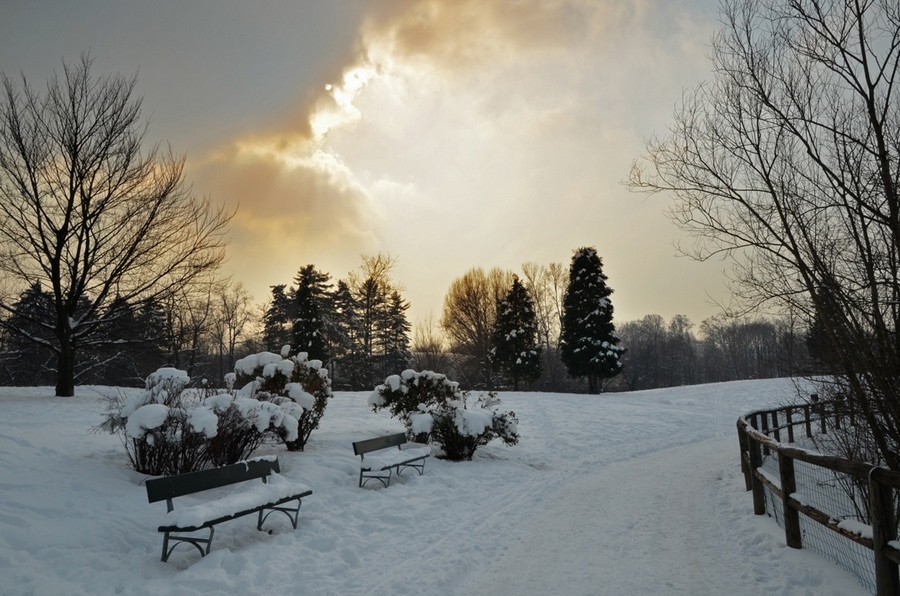 Febbraio 2012 a Torino, parco della Pellerina