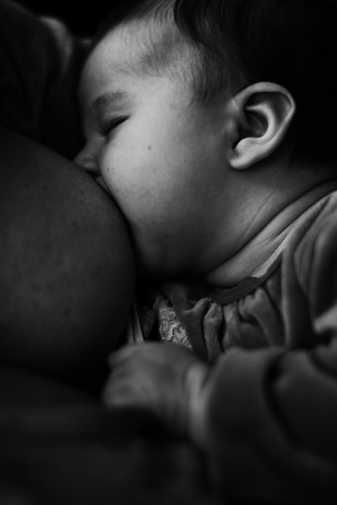 Amore materno ......