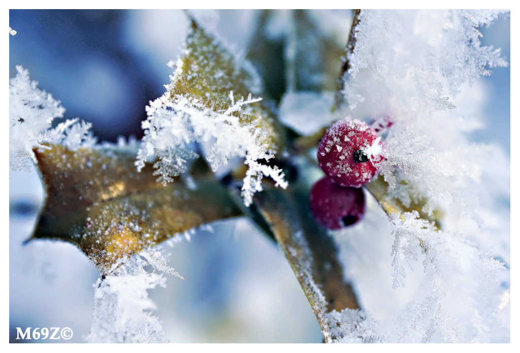... e a Natale sembrava primavera ...