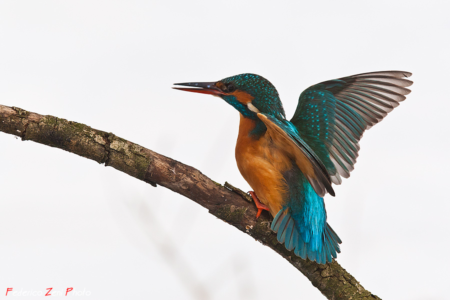 Nel bianco totale...