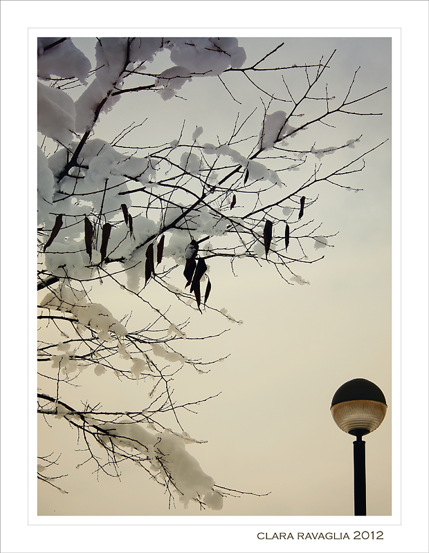 L'insostenibile leggerezza...di un inverno.