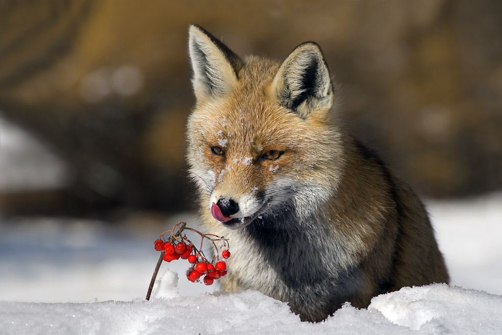 mmmhhhhh...............