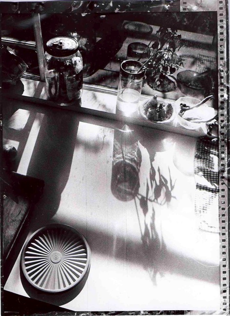 kitchen_trix400@320 in rodinal stand 1:100 60min