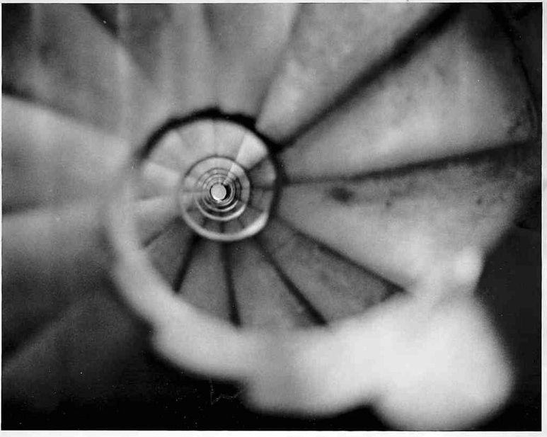 Barcelona Sagrada Familia _ inside