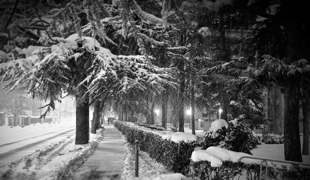 Il buon giorno si vede dal mattino.