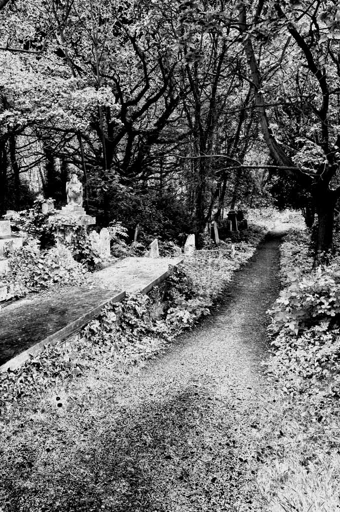 IR test