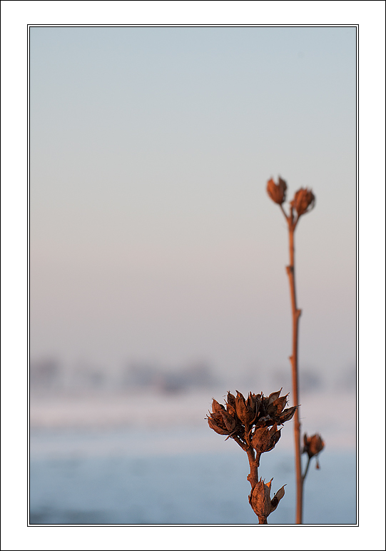 Il Bullo e la Matricola.....