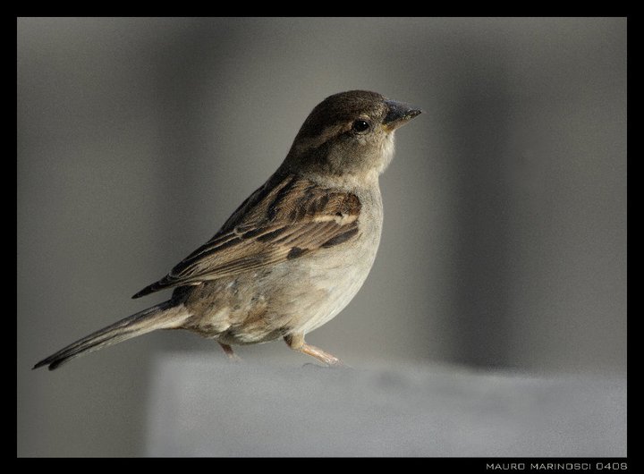 ... non andare viaaa..