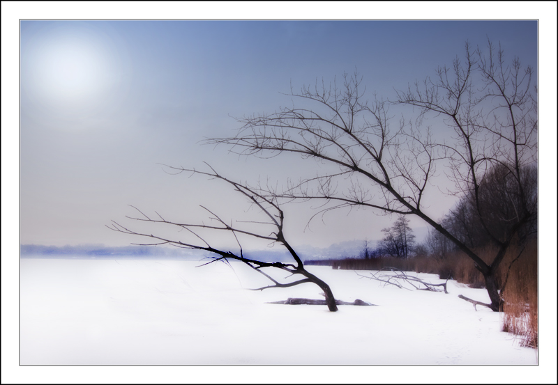 Protesi verso il pallido astro