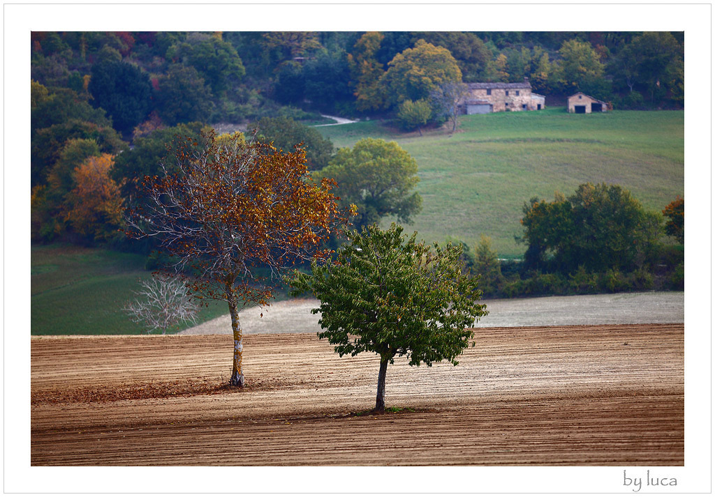 A spasso per le campagne.