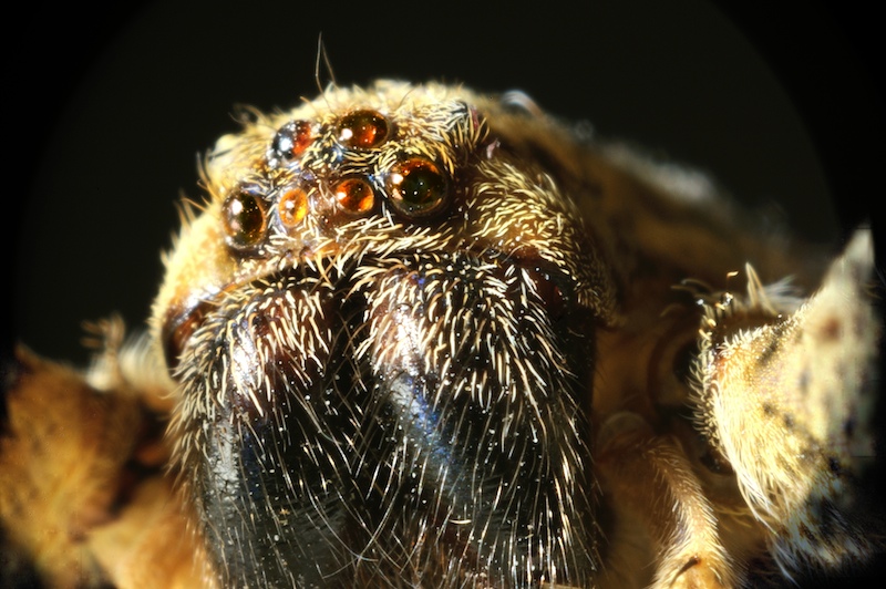 ti ho visto , sai...????