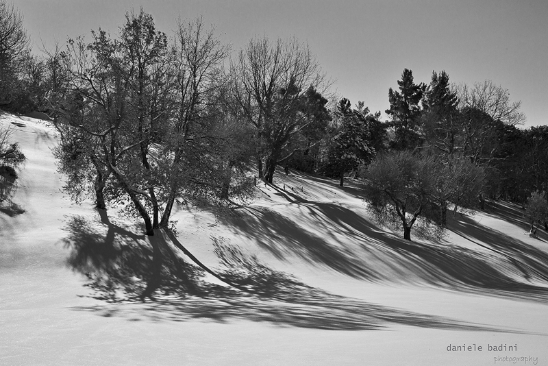 ombre sulla neve