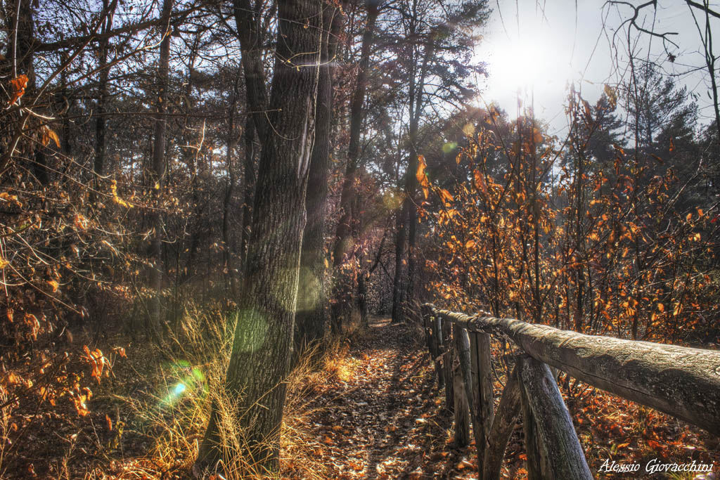 La per i boschi di Oltrona