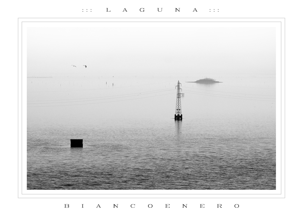 :::  L  A  G  U  N  A  :::