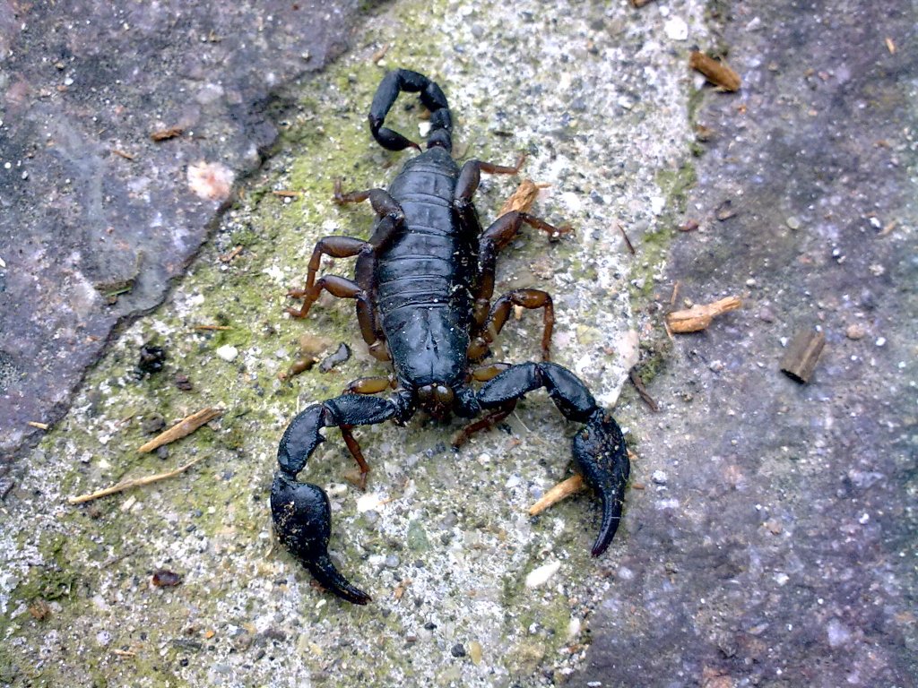 Incontro sul vialetto