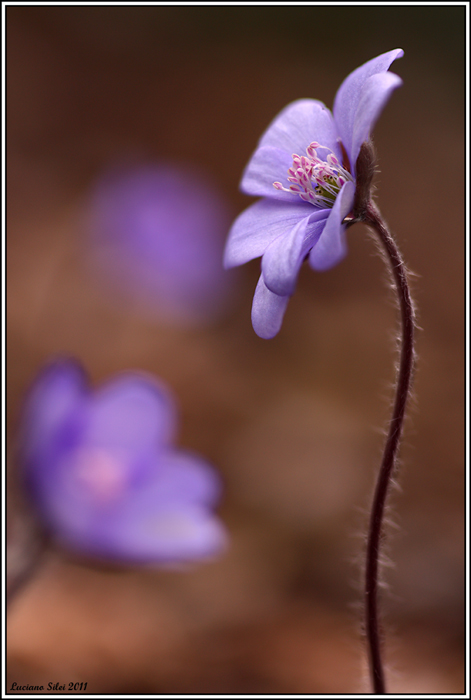 do you think i'm sexy?