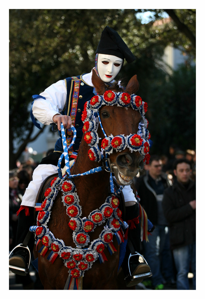 cavallo alla sartiglia