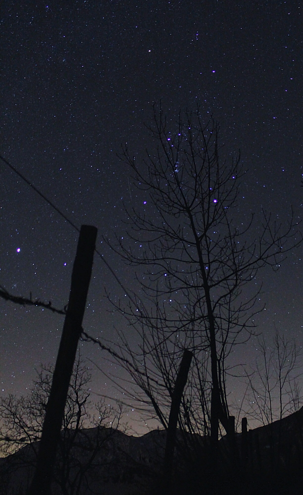 prova notturna 2_ iso 3200