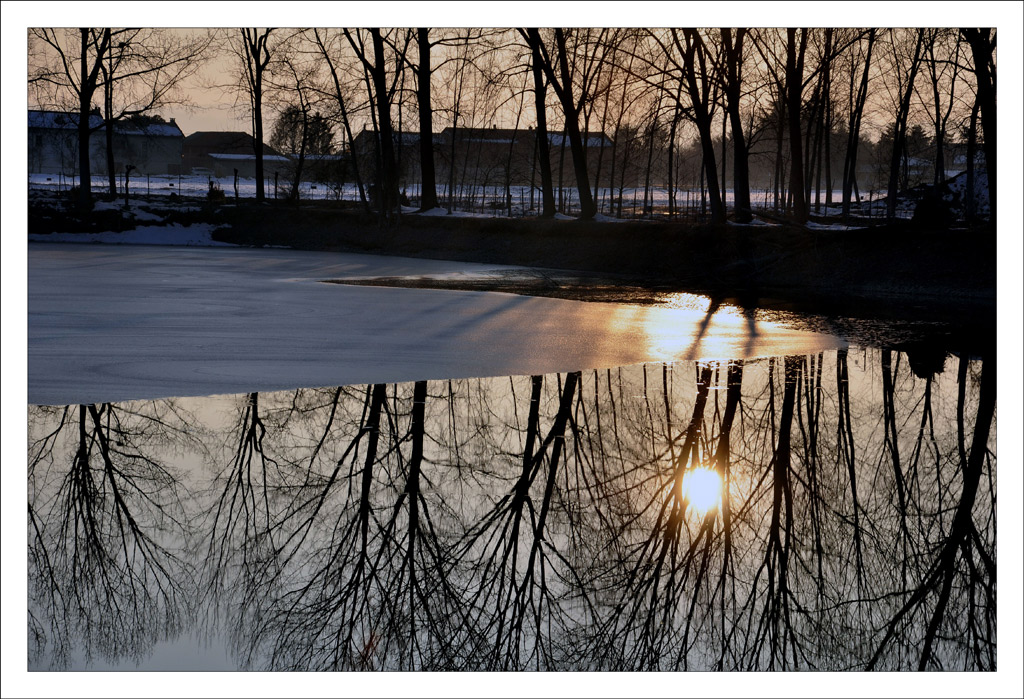 Particolare... di un riflesso