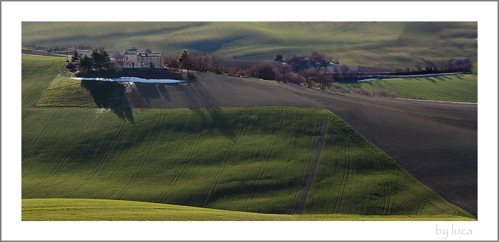 Sempre colline Marchigiane