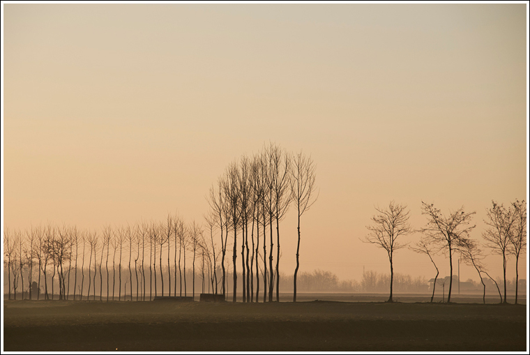 Nella luce dell'alba...