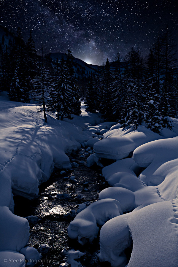 Una magica notte invernale